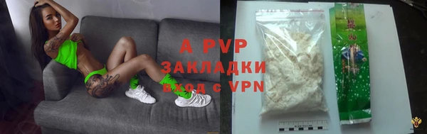 шишки Алзамай