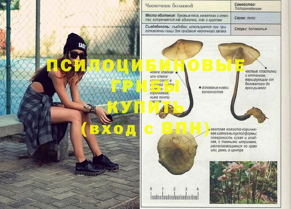 прущий лед Алексеевка