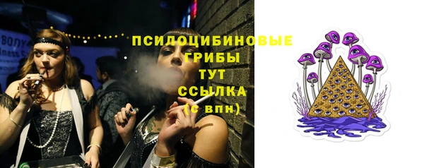 прущий лед Алексеевка